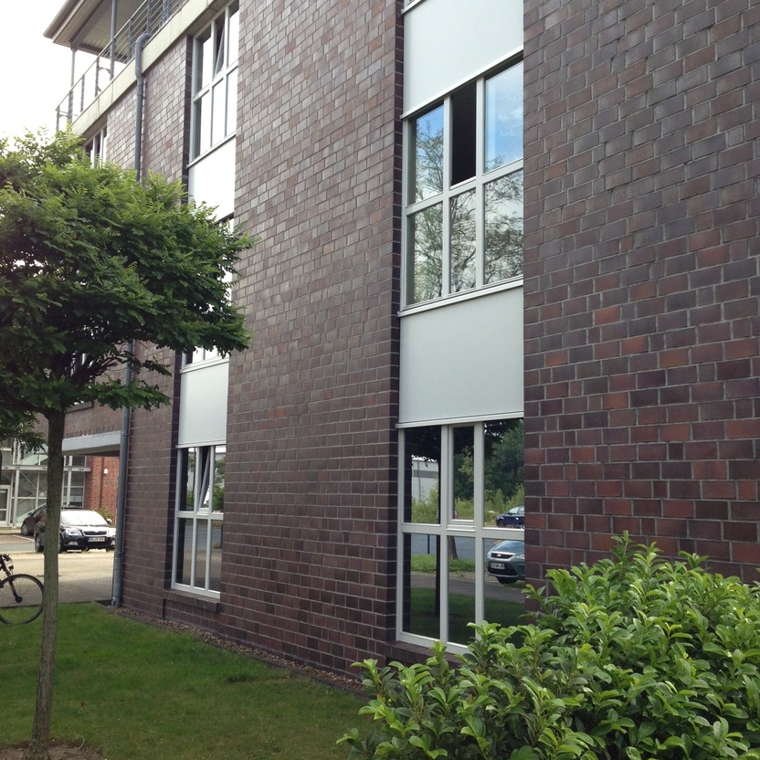 Sechs Fensterflächen mit Sprossenfenstern in Hauswand auf grüner Wiese
