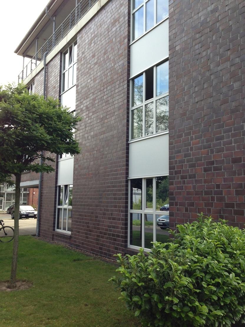 Hauswand mit großen Sprossenfenstern Sechs Fensterflächen mit Sprossenfenstern in Hauswand auf grüner Wiese